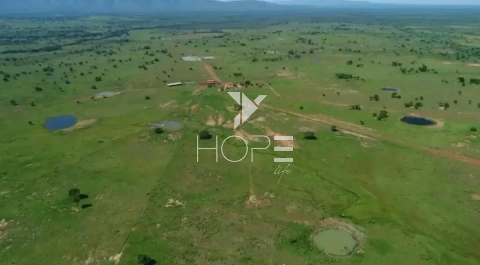 Imagens do imóveis Fazenda de dupla aptidão à venda com 1.765 alqueires - 8.543 hectares - porteira fechada - Alvorada do Norte GO