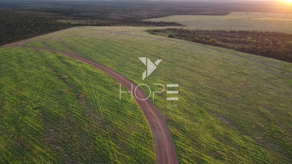 Imagens do imóveis Fazenda à venda 397 alqueires dupla aptidão com lavoura em formação – Tocantins – região de Palmas