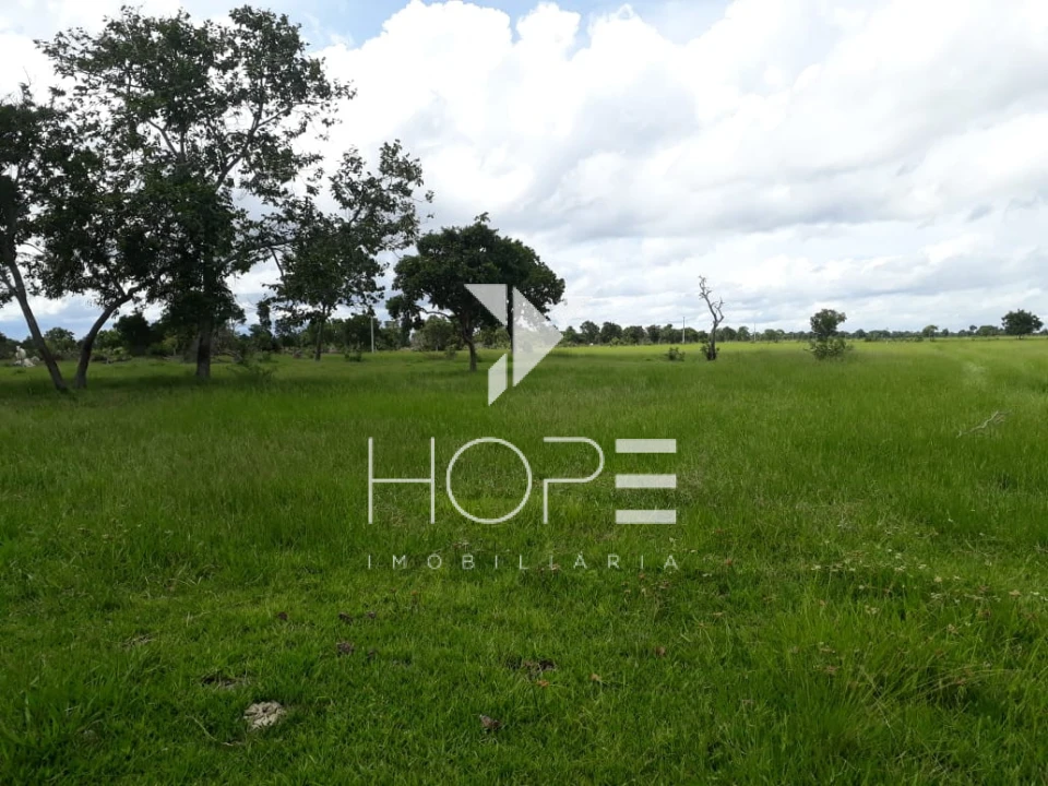 Fazenda à Venda no Mato Grosso – 793 Alqueires | Pecuária Estruturada | Porteira Fechada