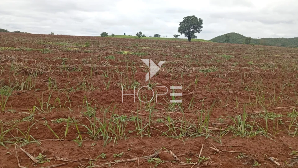 Imagens do imóveis Fazenda à venda com 260 alqueires - 201 formados - confinamento - apta para pivô - Mozarlândia GO