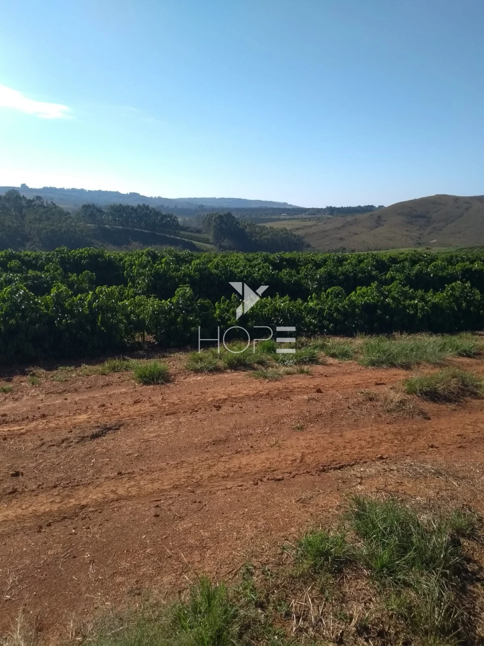Imagens do imóveis Fazenda à venda 1.006 hectares cafeeira – região de Campos Altos – Minas Gerais