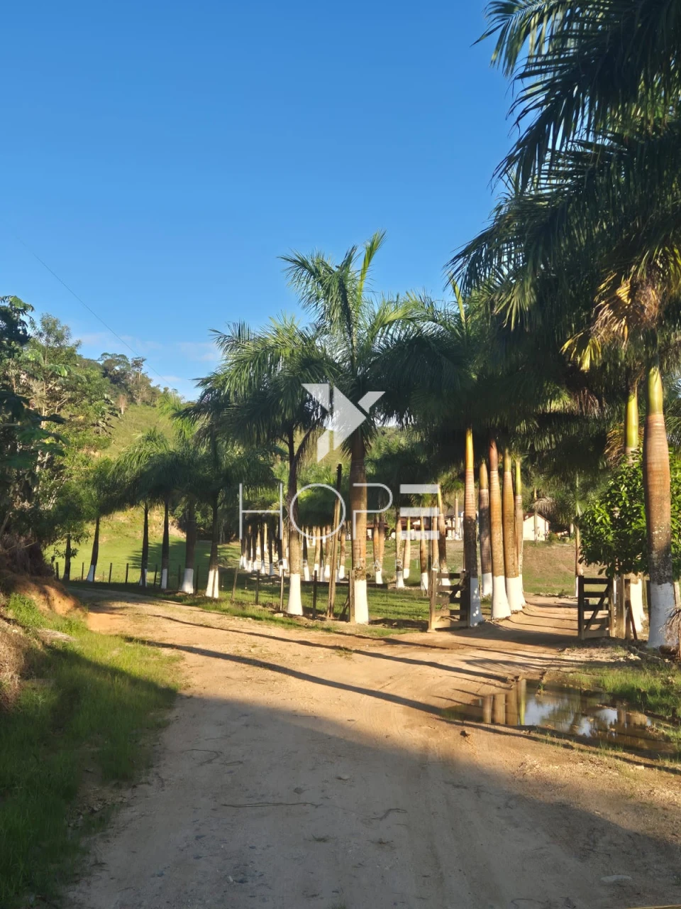 Imagens do imóveis Fazenda Produtiva à Venda na Região de Registro/SP – 174 Alqueires – Estrutura para Pecuária Leiteira – Abundância de Água