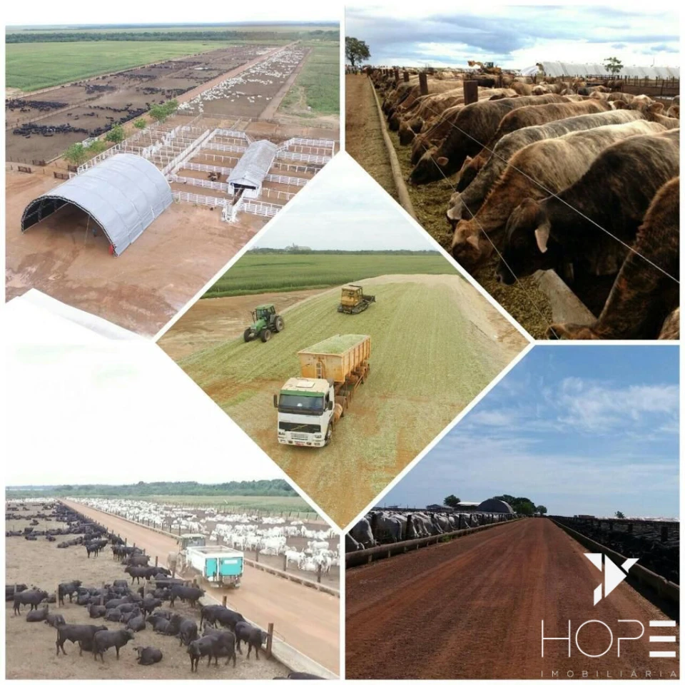 Imagens do imóveis Fazenda no Matogrosso de 33 mil hectare (13.636 Alqueires).