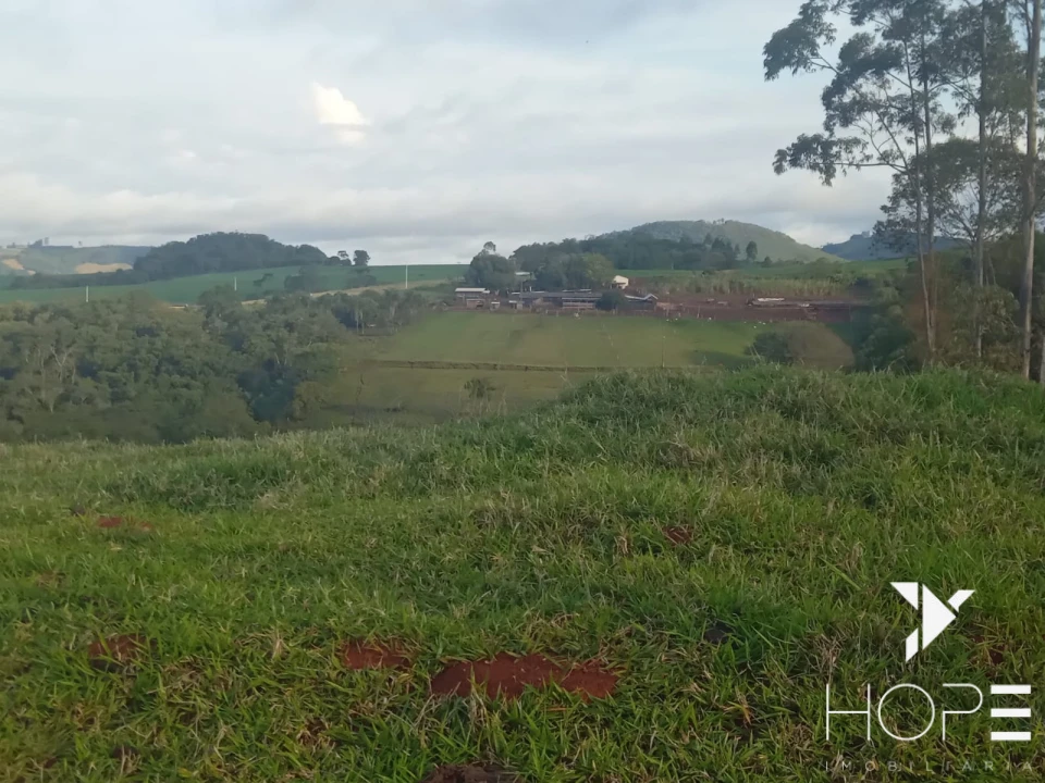 Imagens do imóveis Sítio à venda em Tamarana – Localização privilegiada na beira da estrada