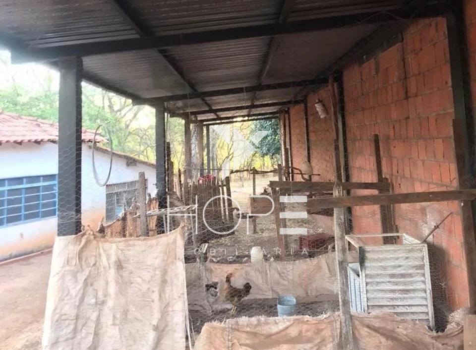 Imagens do imóveis Fazenda à Venda em Mirassolândia/SP – 14 Alqueires Paulista (33,88 ha) – 7.500 Seringueiras em produção  – Rica em Água