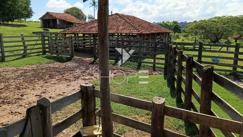 Imagens do imóveis Fazenda à venda com 204.5 alqueires - pecuária bovina - estrutura completa - região de Marília SP