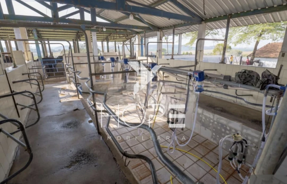 Imagens do imóveis Fazenda à Venda Proximo a Marília/SP – 190 Alqueires – abundante em Agua – Topografia Excelente