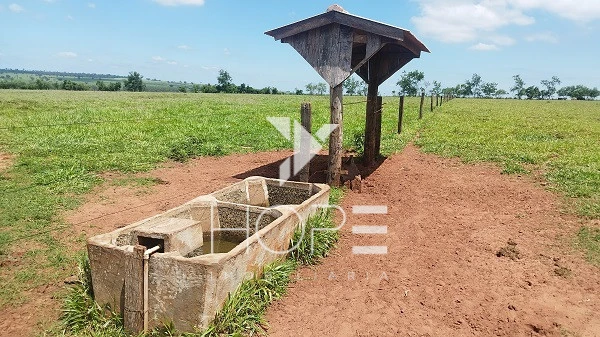 Imagens do imóveis Sítio à venda 13 alqueires pecuária benfeitorias completas – Porto São José – São Pedro do Paraná – próximo a Porto Rico
