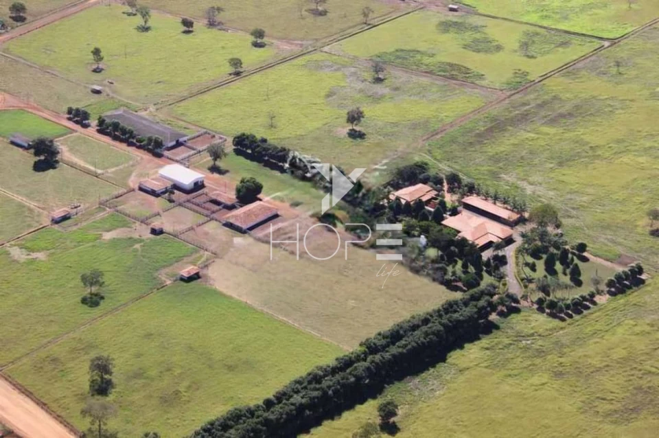 Imagens do imóveis Fazenda à venda 1.000 alqueires pecuária porteira fechada com pista de pouso – Formosa – Goiás