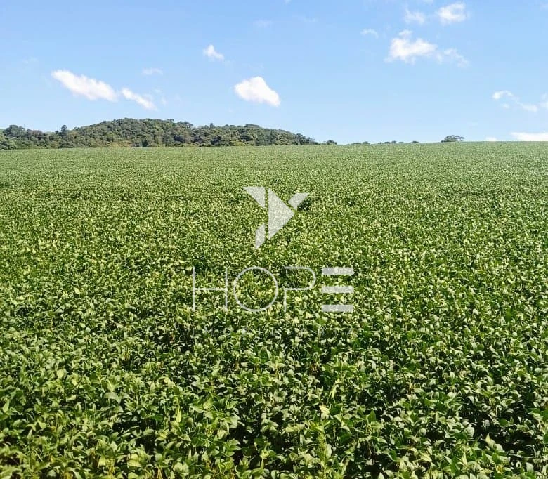 Imagens do imóveis Fazenda à Venda – 213 Alqueires – Jauru – Tomazina PR