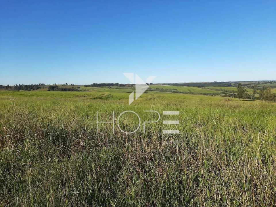 Imagens do imóveis Fazenda à venda 217 alqueires pecuária – Moreira Sales – Paraná