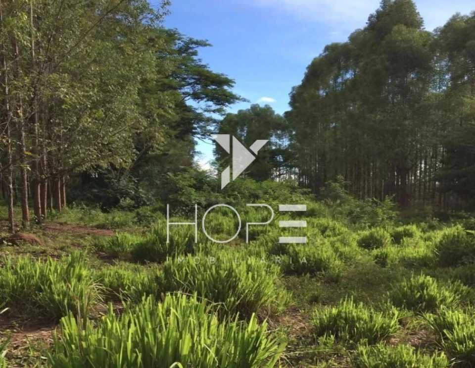 Imagens do imóveis Fazenda 326 Alqueires - Dupla Aptidão - Unaí MG - Entre Unaí e Paracatu - Margens de Rodovia