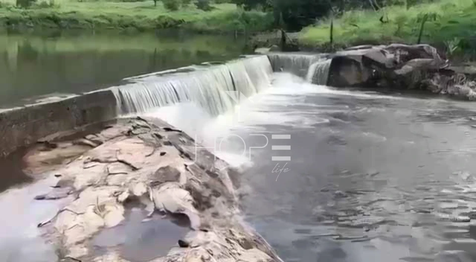 Imagens do imóveis Fazenda à venda 2.725 hectares pecuária porteira fechada – região de Monte Alegre de Goiás – Goiás