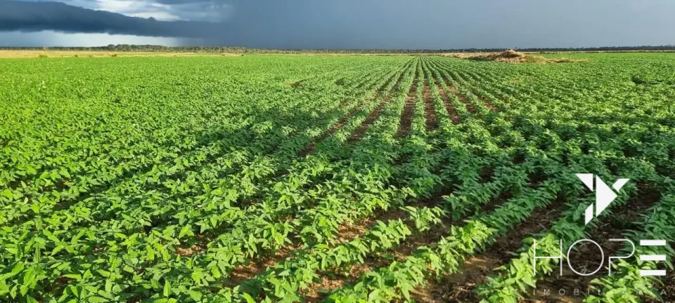 Imagens do imóveis Fazenda à Venda – Primavera do Leste – MT