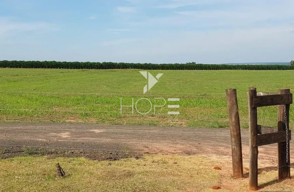 Imagens do imóveis Fazenda à Venda - Solo Misto – 174,24 Hectares – Bauru/SP