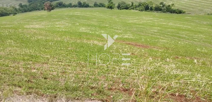 Imagens do imóveis Fazenda à Venda de Terra Roxa – 92 Alqueires – São Pedro do Ivaí/PR