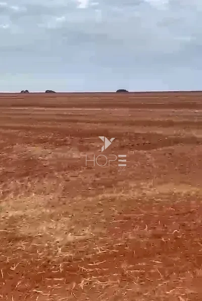 Imagens do imóveis Fazenda à Venda 100% de Plantio – 50 Alqueires – Região de Anhumas/SP