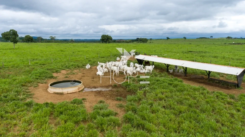 Imagens do imóveis Fazenda à Venda no Mato Grosso do Sul – 223 Alqueires – Rosário Oeste