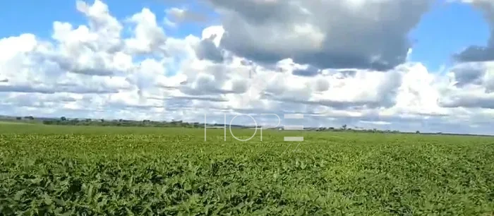 Imagens do imóveis Fazenda à Venda - 80% Plano – 110 Alqueires – Costa Machado – Costa Machado/SP