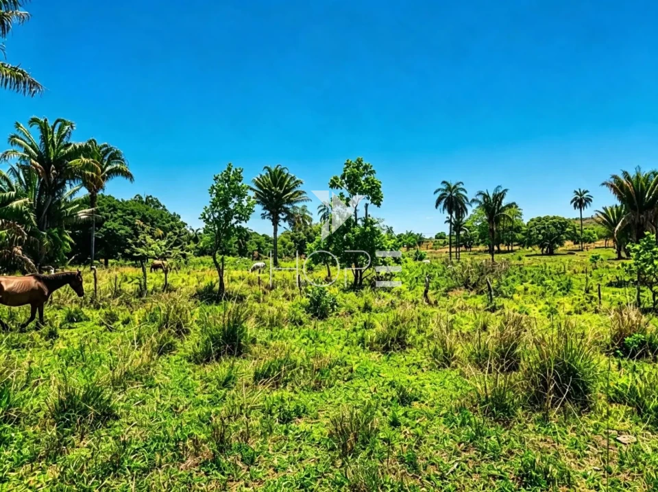 Fazenda à Venda com Aptidão Pecuária – 364 Hectáres – Três Marias/MG