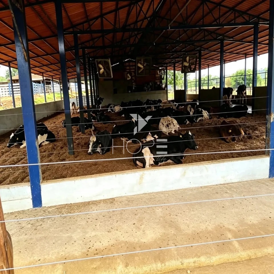 Imagens do imóveis Fazenda à Venda - Complexo Agroindustrial Completo – 181 Hectares – Jequitibá/MG