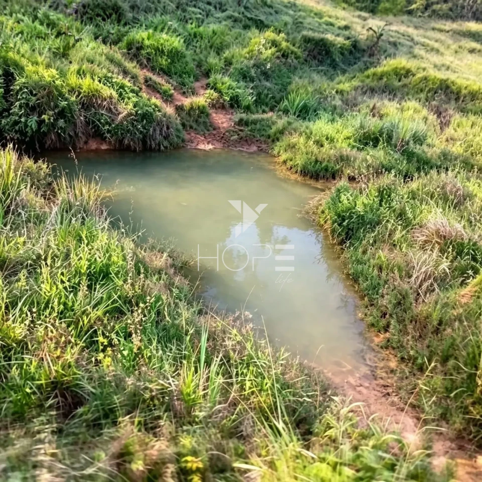 Imagens do imóveis Fazenda à Venda com Infraestrutura Completa – 294,30 Hectares – Carmésia/MG