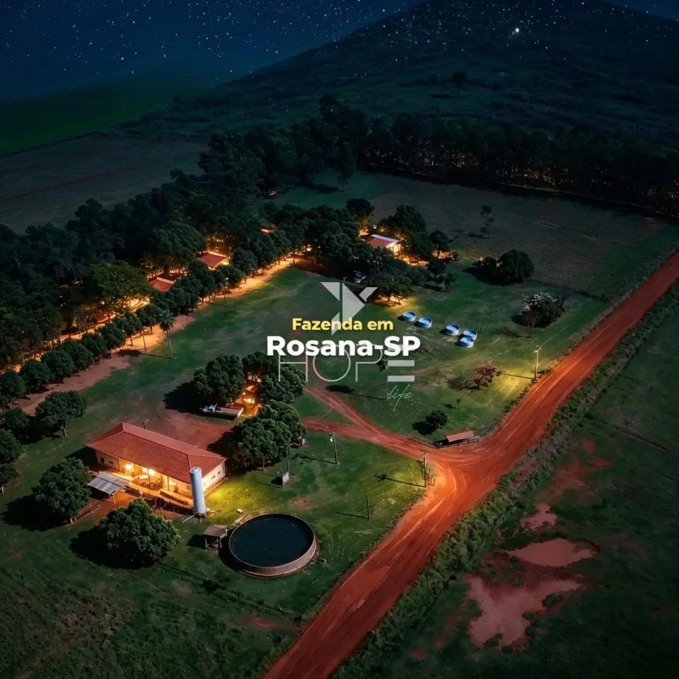 Imagens do imóveis Fazenda à Venda com Aptidão Pecuária - Topografia Plana – 560 Alqueires – Rosana/SP - Fronteira SP - PR - MS