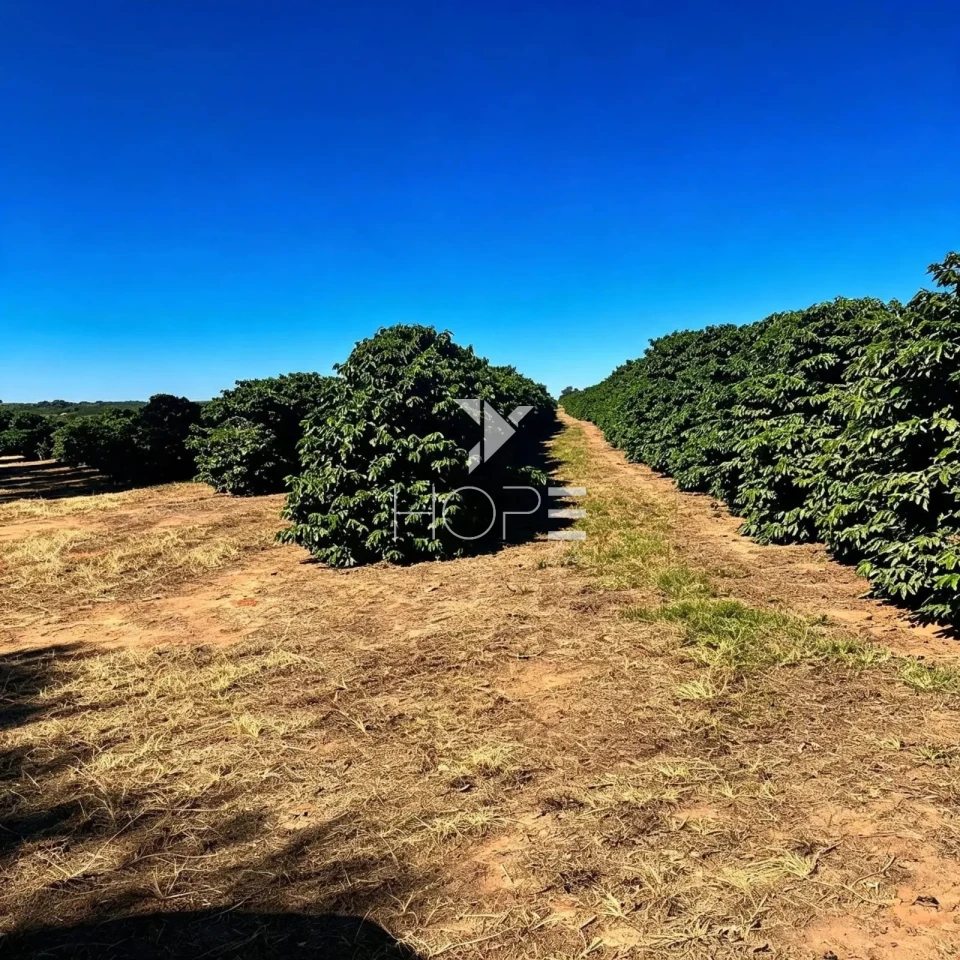 Imagens do imóveis Fazenda Cafeeira à Venda - Infraestrutura Completa – 750 Hectares – Capitólio/MG