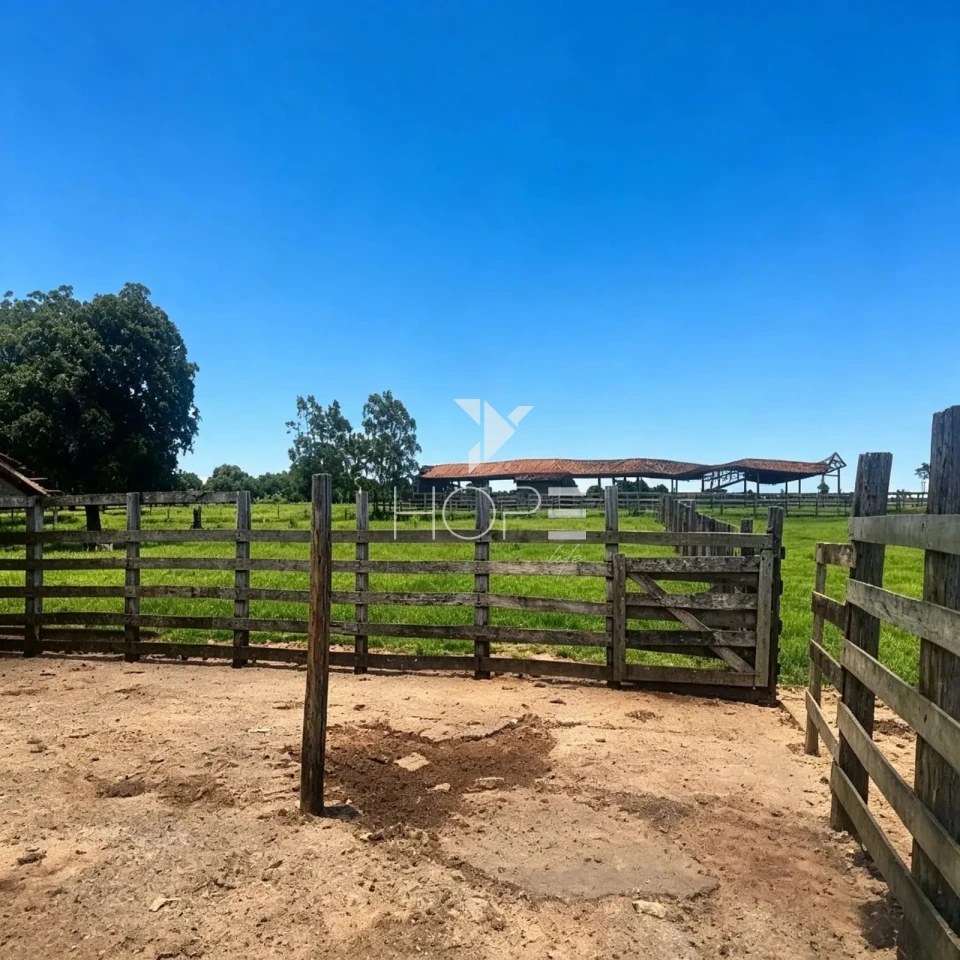 Imagens do imóveis Fazenda à Venda - 3km da Cidade – 183,77 Alqueires – Paranavaí – Paranavaí/PR