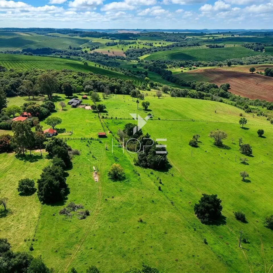 Imagens do imóveis Fazenda à Venda – 99,3 Hectares – Avaré/SP