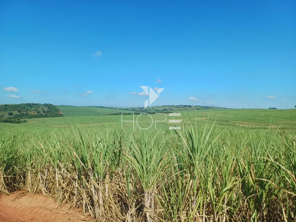 Imagens do imóveis Fazenda à Venda – 100 Alqueires – Região da Usina Alto Alegre – Colorado/PR