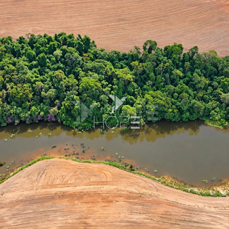 Imagens do imóveis Fazenda à Venda – Região de Itapetininga e Sorocaba – Interior – São Paulo/SP