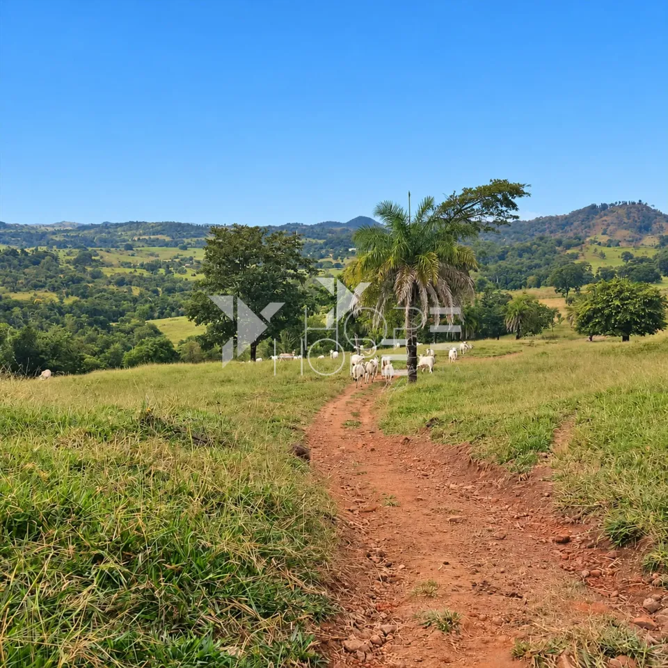 Imagens do imóveis Fazenda à Venda – Zona Rural – Rubiataba/GO