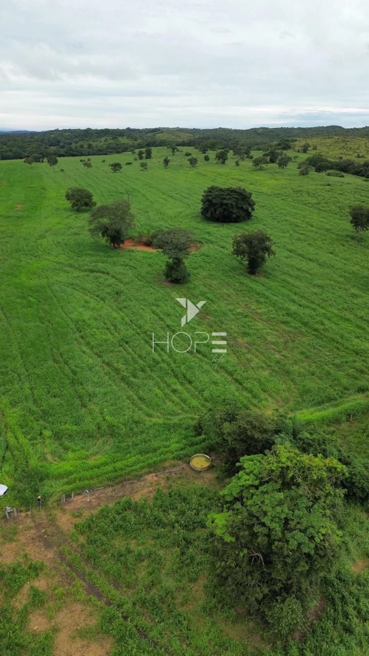 Imagens do imóveis Fazenda à Venda no Mato Grosso do Sul – 223 Alqueires – Rosário Oeste