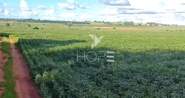 Imagens do imóveis Fazenda à Venda - 80% Plano – 110 Alqueires – Costa Machado – Costa Machado/SP