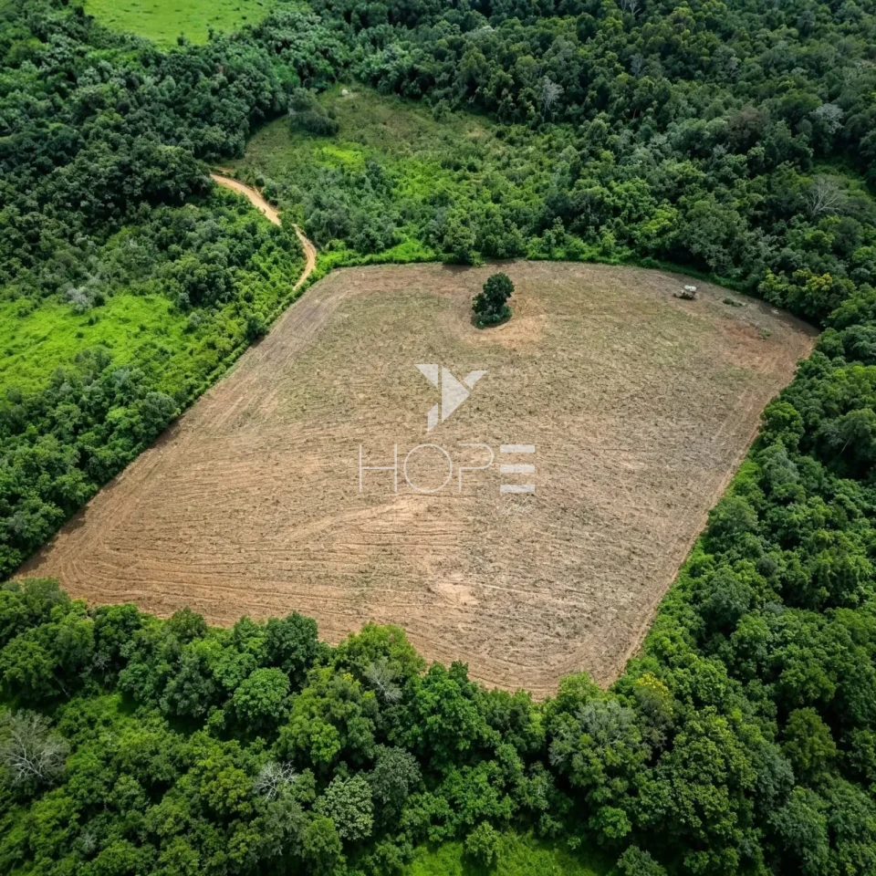 Imagens do imóveis Fazenda à Venda em Região Turistica – 282,50 Hectares – São João Del Rei/MG