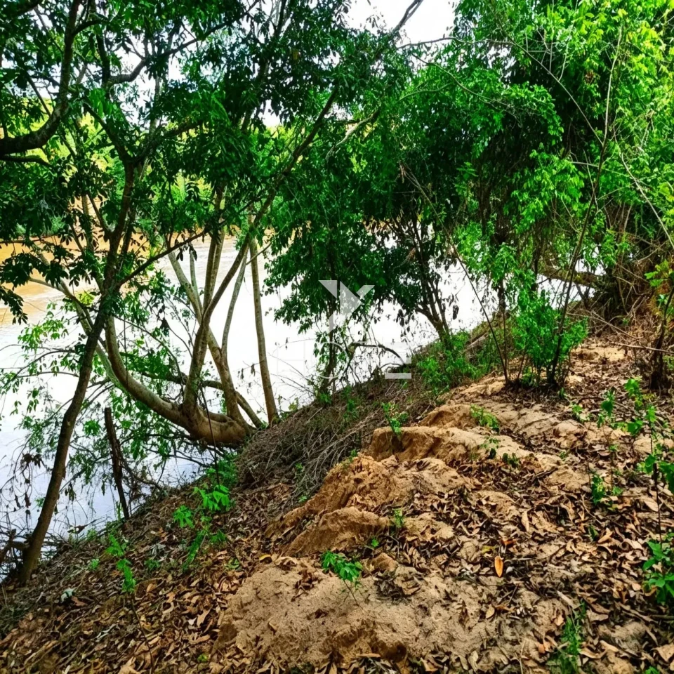 Fazenda à Venda com Aptidão Pecuária – 364 Hectáres – Três Marias/MG