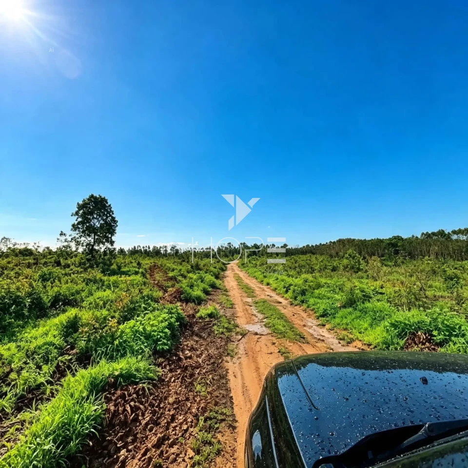 Fazenda à Venda com Aptidão Pecuária e Florestal – 513 Hectares – Brasilândia de Minas/MG