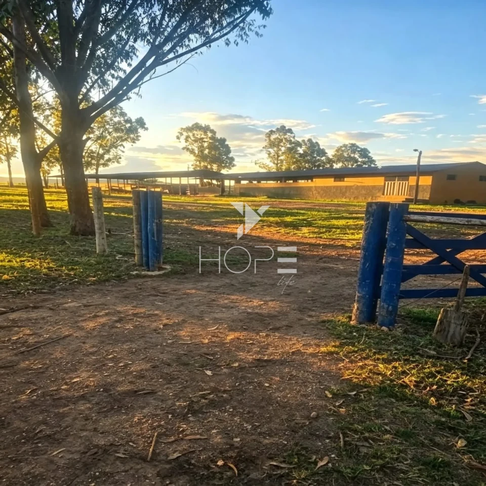 Imagens do imóveis Fazenda à Venda - Pecuária – 163 Hectares – Buenópolis/MG