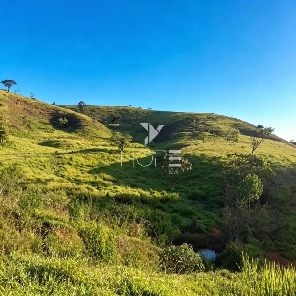Imagens do imóveis Fazenda à Venda com Infraestrutura Completa – 294,30 Hectares – Carmésia/MG