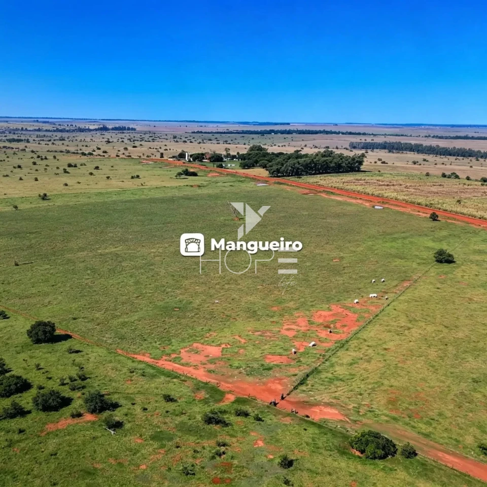 Imagens do imóveis Fazenda à Venda com Aptidão Pecuária - Topografia Plana – 560 Alqueires – Rosana/SP - Fronteira SP - PR - MS