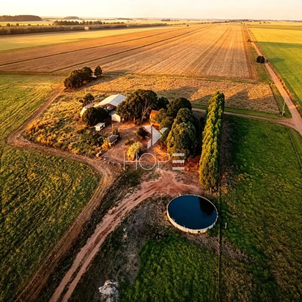 Imagens do imóveis Fazenda à Venda - Agricultura e Pecuária - Topografia Plana – 5.359 Hectares – Sonora – Sonora/MS
