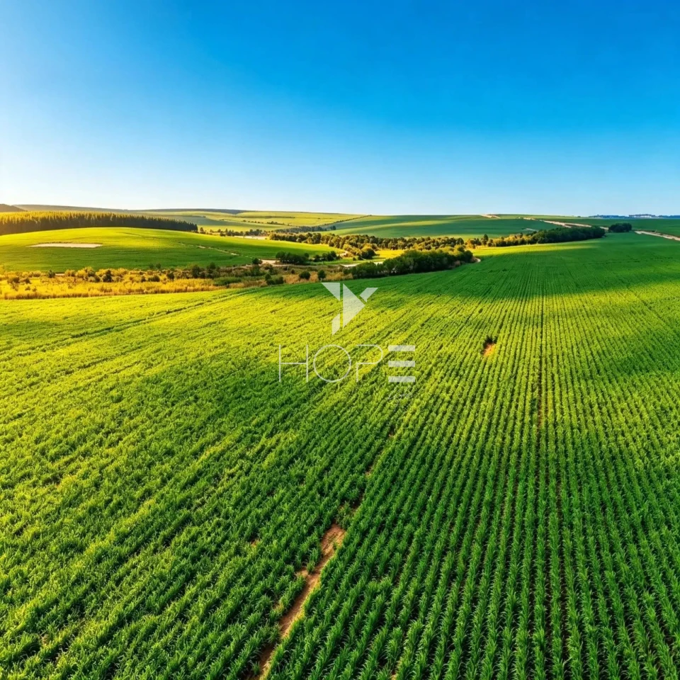 Imagens do imóveis Fazenda à Venda - Topografia Plana – Docuntação Regularizada -  237 Alqueires – Itu/SP