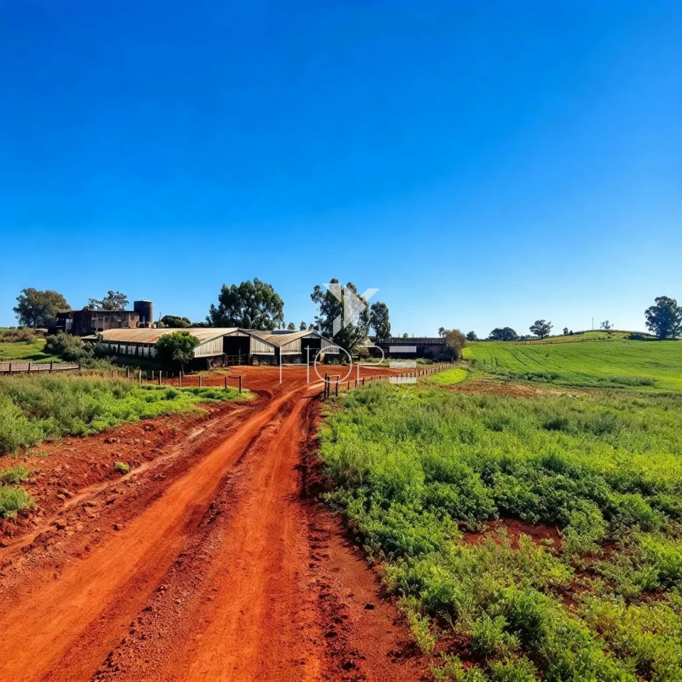 Imagens do imóveis Fazenda à Venda com Dupla Aptidão - Pecuária e Agricultura – 495 Alqueires – Francisco Beltrão – Francisco Beltrão/PR