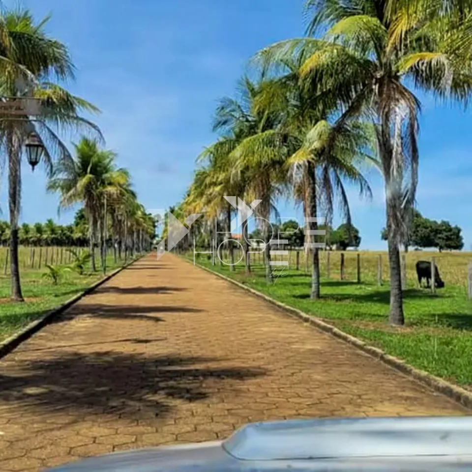 Imagens do imóveis Fazenda à Venda – Mundo Novo/GO