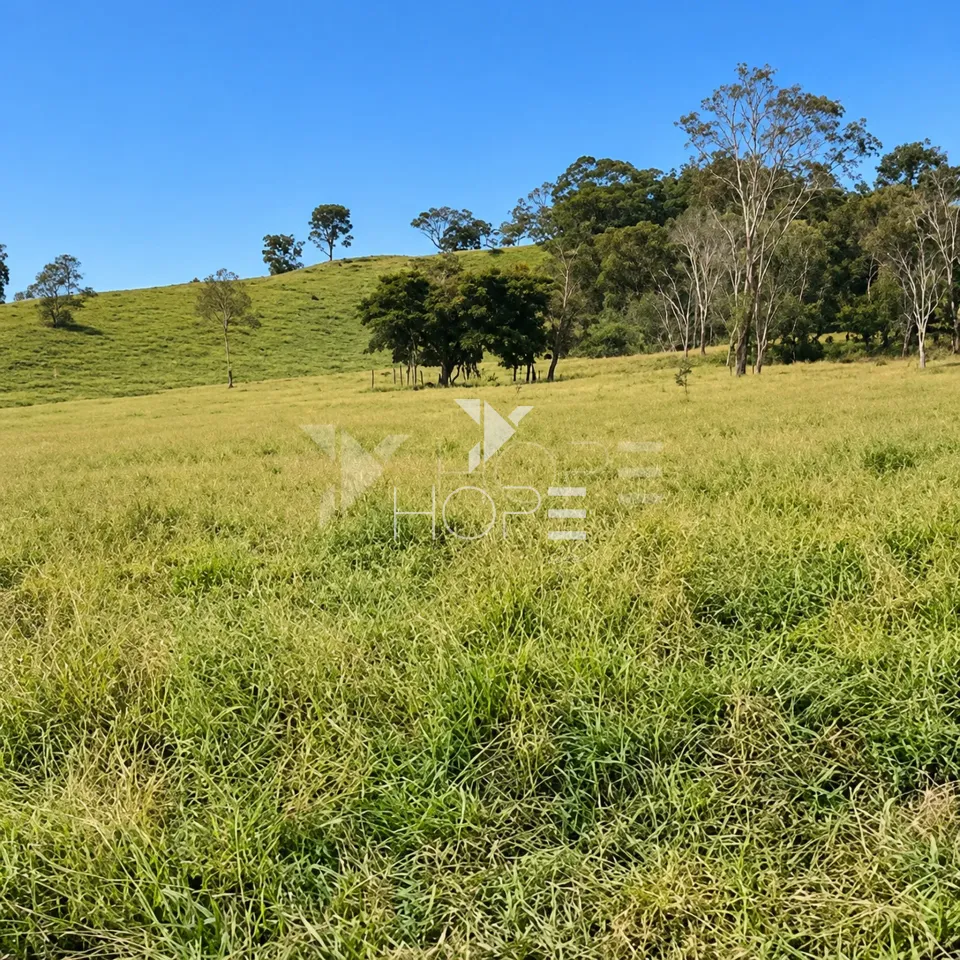 Imagens do imóveis Fazenda à Venda – Zona Rural – Rubiataba/GO