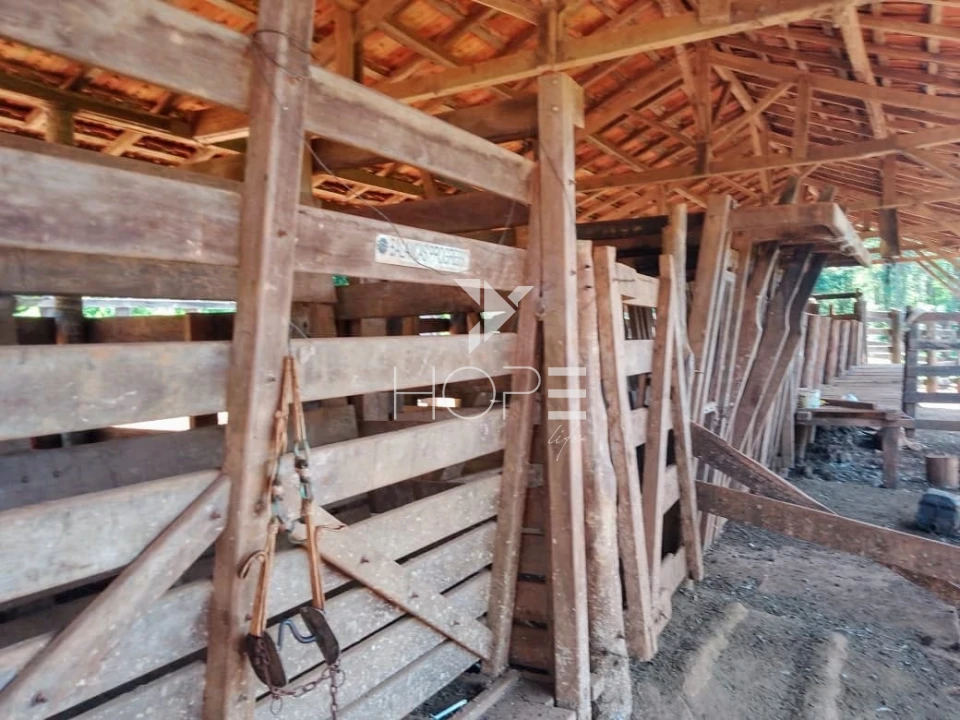 Fazenda à venda com 76 alqueires - pecuária com potencial agrícola - Guaravera - Londrina PR