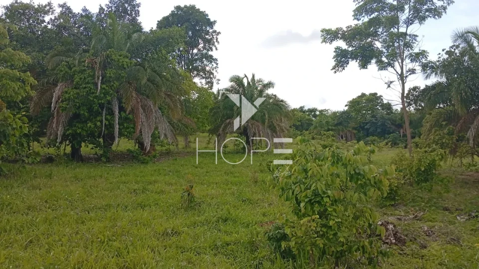 Imagens do imóveis Fazenda à venda com 72 alqueires - 55 em pasto - pronta - curral completo - região de Morro Agudo - Faina GO