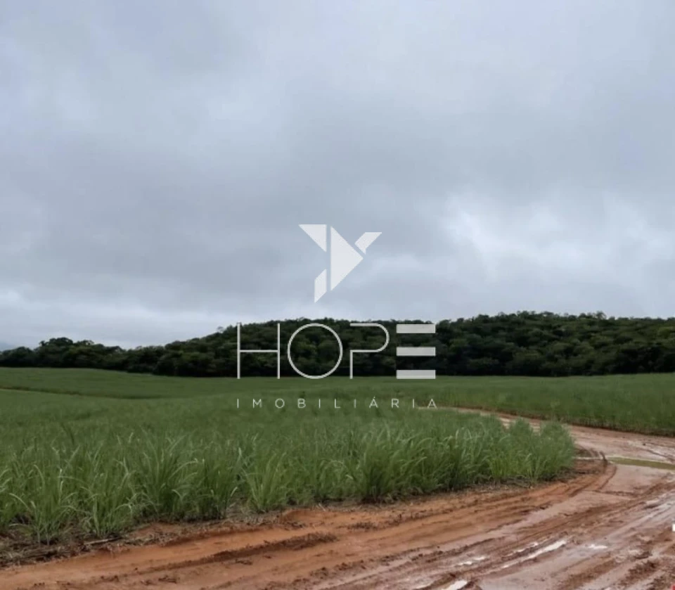 Imagens do imóveis Fazenda 207 Alqueires - Dupla Aptidão - Cana Arrendada - Mineiros GO - 7 km do Asfalto