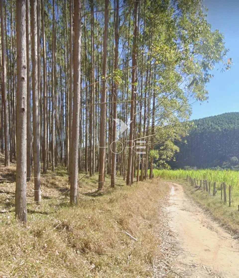 Imagens do imóveis Fazenda de eucalipto à venda com 124 alqueires - alto potencial florestal - Vale do Paraíba - Paraíbuna SP